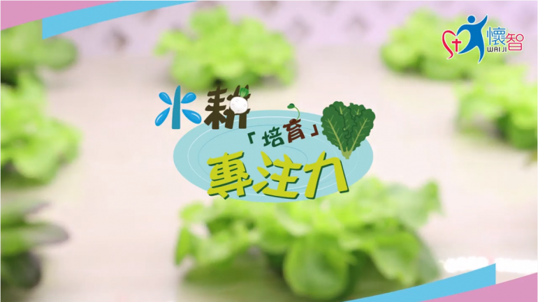 水耕 水耕