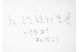 自閉症的心智解讀能力、中心聚合能力